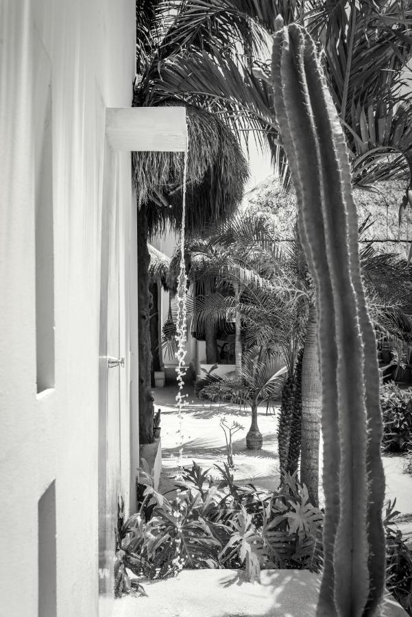 Tierra Del Mar Hotel - Adults Only Holbox Extérieur photo